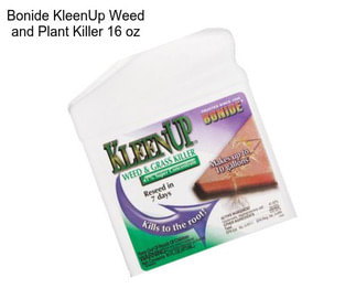 Bonide KleenUp Weed and Plant Killer 16 oz