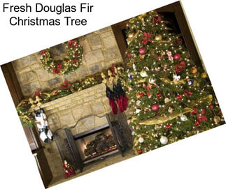 Fresh Douglas Fir Christmas Tree