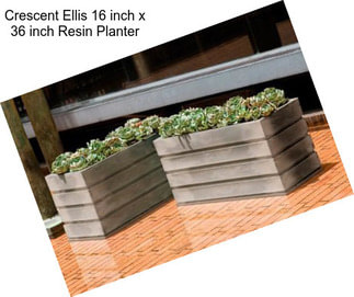 Crescent Ellis 16 inch x 36 inch Resin Planter