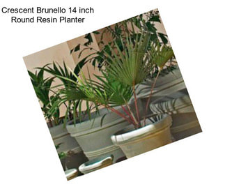 Crescent Brunello 14 inch Round Resin Planter