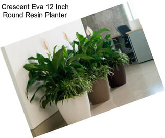 Crescent Eva 12 Inch Round Resin Planter