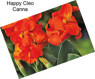 Happy Cleo Canna