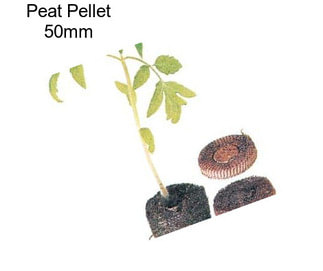 Peat Pellet 50mm