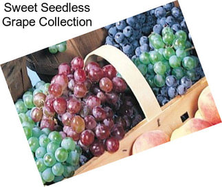 Sweet Seedless Grape Collection