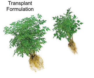 Transplant Formulation