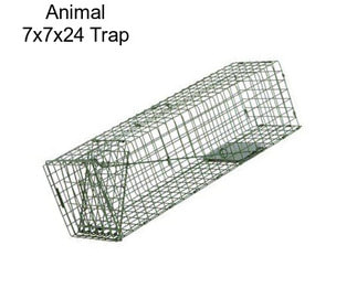 Animal 7x7x24 Trap
