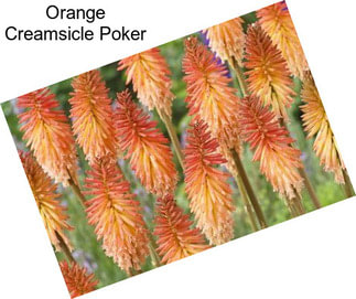 Orange Creamsicle Poker