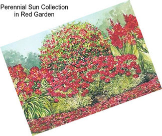 Perennial Sun Collection in Red Garden