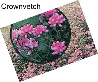 Crownvetch