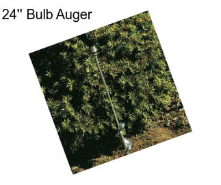 24\'\' Bulb Auger