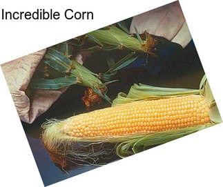 Incredible Corn