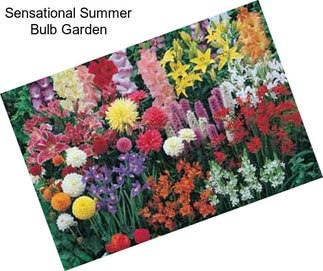 Sensational Summer Bulb Garden