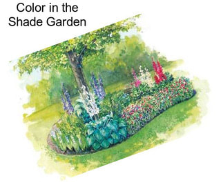 Color in the Shade Garden