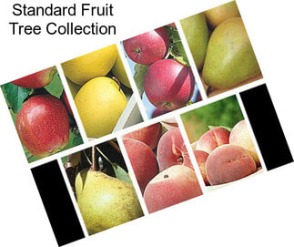 Standard Fruit Tree Collection