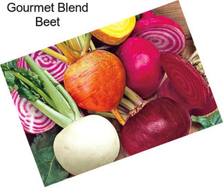 Gourmet Blend Beet