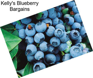 Kelly\'s Blueberry Bargains