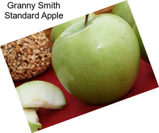 Granny Smith Standard Apple