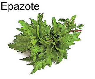 Epazote