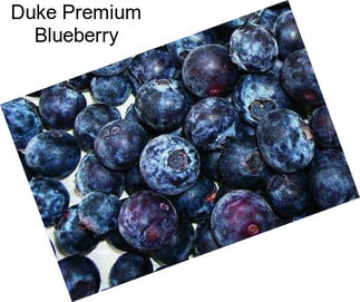 Duke Premium Blueberry