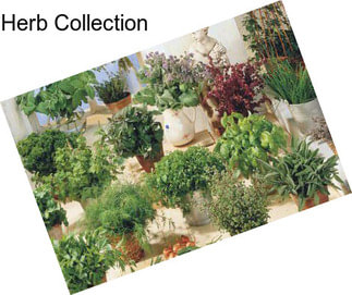 Herb Collection