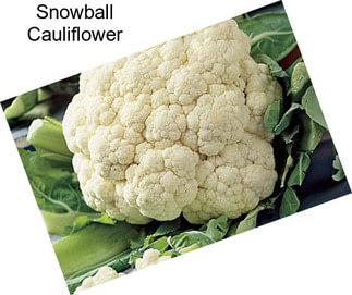 Snowball Cauliflower