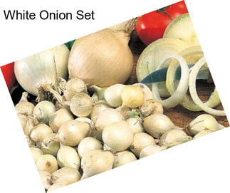 White Onion Set