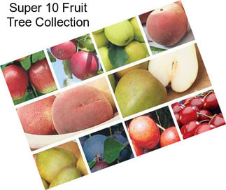 Super 10 Fruit Tree Collection