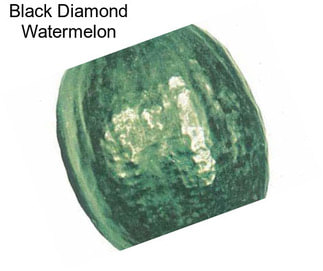 Black Diamond Watermelon