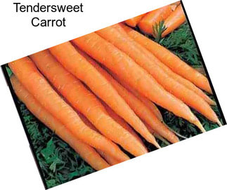 Tendersweet Carrot