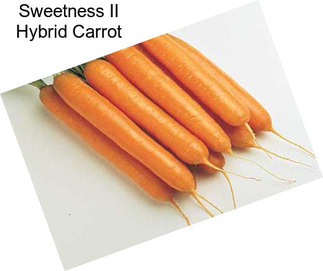 Sweetness II Hybrid Carrot