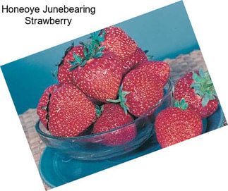 Honeoye Junebearing Strawberry