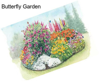 Butterfly Garden