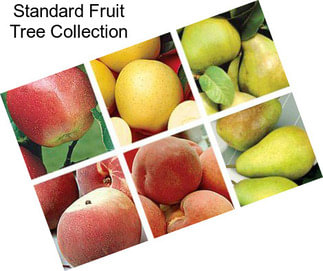 Standard Fruit Tree Collection