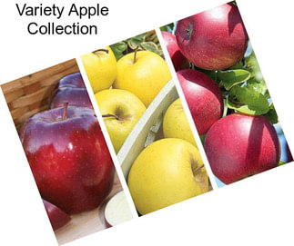 Variety Apple Collection