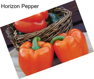 Horizon Pepper