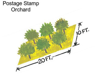 Postage Stamp Orchard