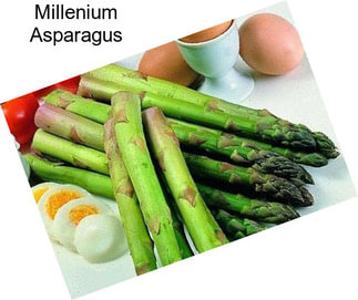 Millenium Asparagus