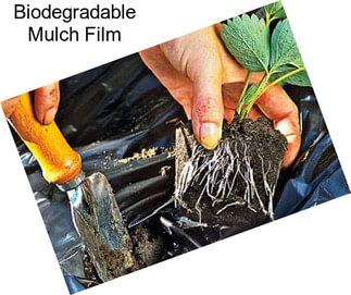 Biodegradable Mulch Film