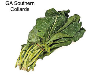 GA Southern Collards