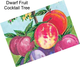 Dwarf Fruit Cocktail Tree
