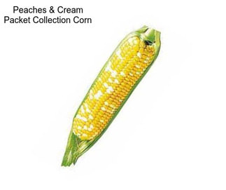 Peaches & Cream Packet Collection Corn