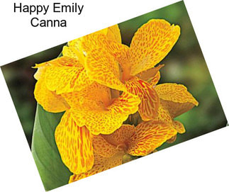 Happy Emily Canna