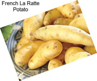 French La Ratte Potato