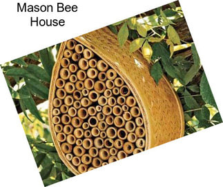 Mason Bee House