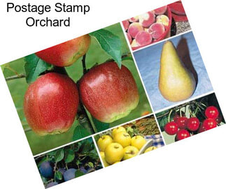 Postage Stamp Orchard