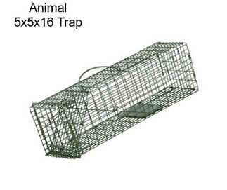 Animal 5x5x16 Trap