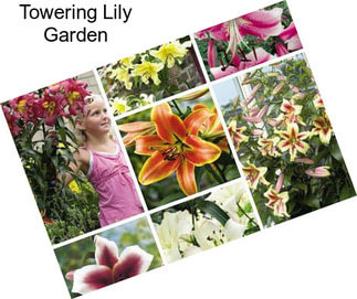 Towering Lily Garden