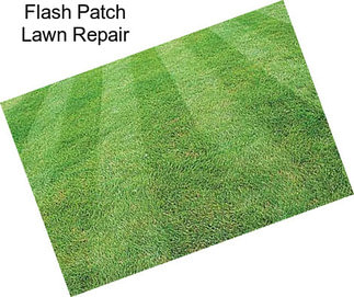 Flash Patch Lawn Repair