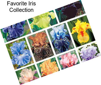 Favorite Iris Collection