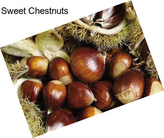 Sweet Chestnuts